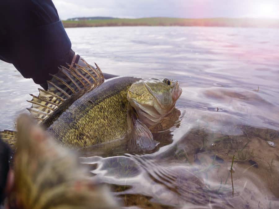 is walleye fishing good on cloudy days