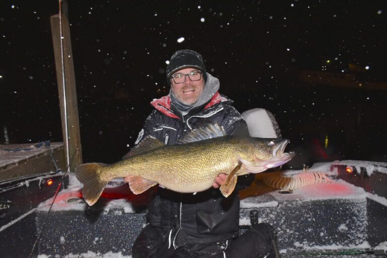 what size is a trophy walleye?