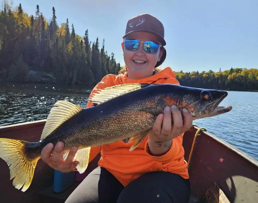 where to catch early morning walleye