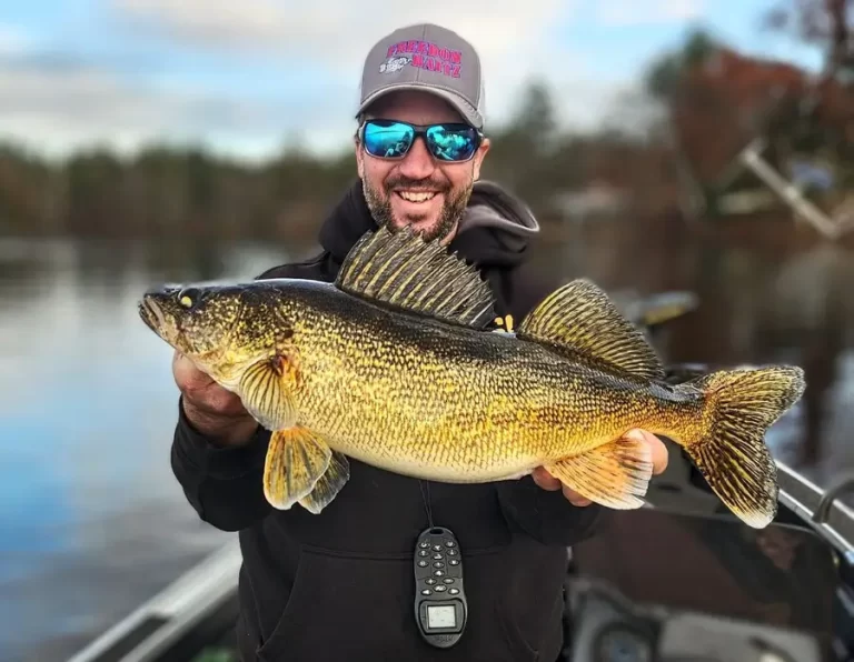 sunny walleye fishing